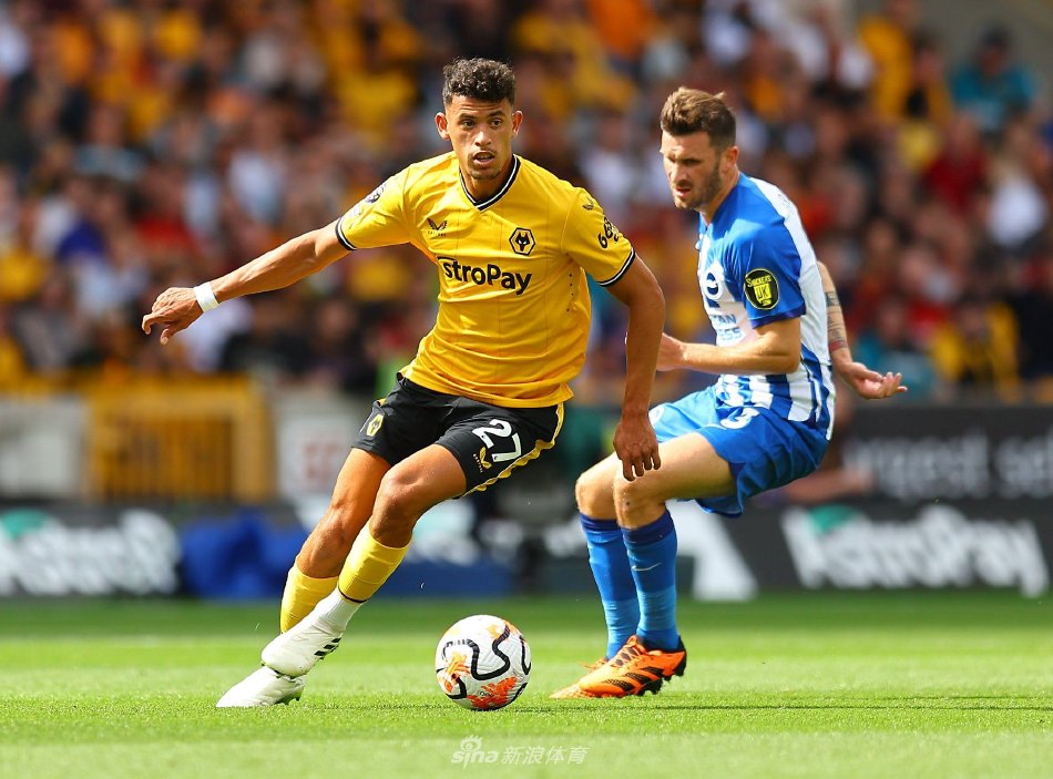 的敏锐嗅觉 的敏锐嗅觉