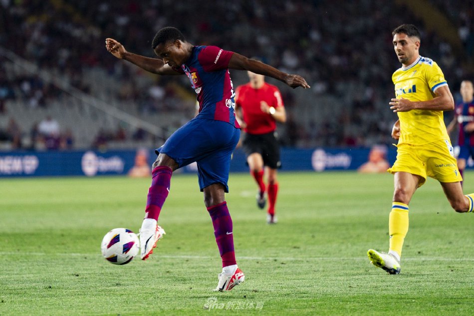 先天骨骼结 先天骨骼结